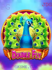 DoubleFly: Um Voo Duplo de Diversão no Mundo dos Jogos